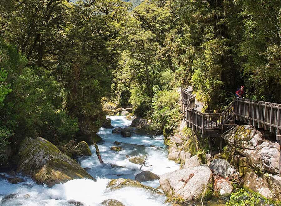 Te Anau: Lake Marian Guided Day Hike with Lunch - The Waterfalls and Forest Walk