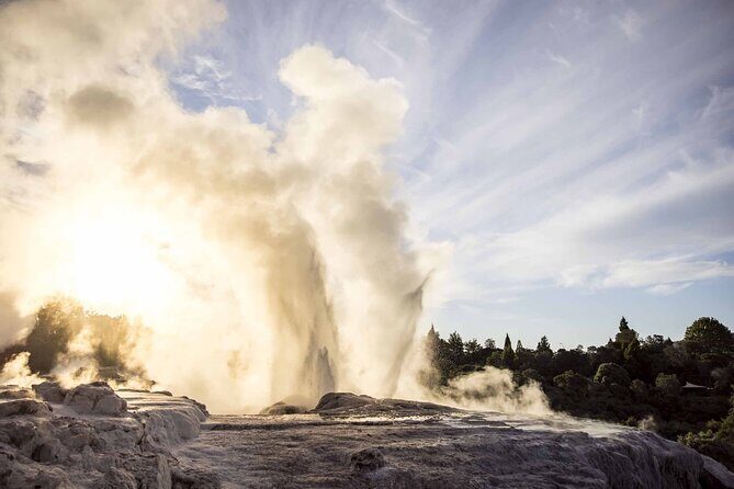 Te Puia: Te P Indigenous Evening Experience Combo - The Real Value of the Tour