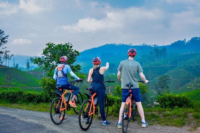 Tea Loops E-Biking - Who Should Consider This Tour?