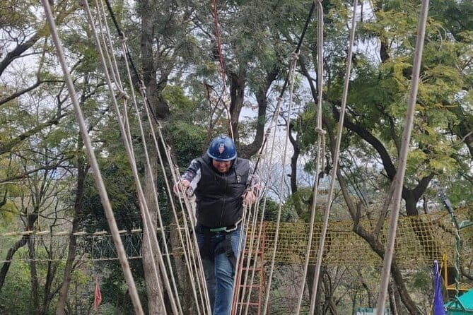 Tea Top Adventure Activities - Why This Tour Works and Who It’s Best For