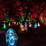 TeamLab Botanical Garden Osaka Ticket - Is It Worth the Price?