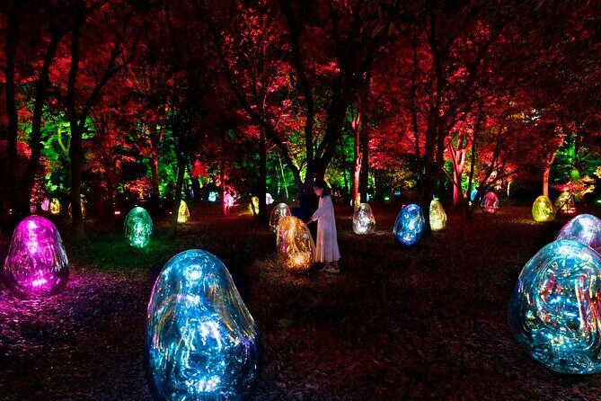 TeamLab Botanical Garden Osaka Ticket - Is It Worth the Price?