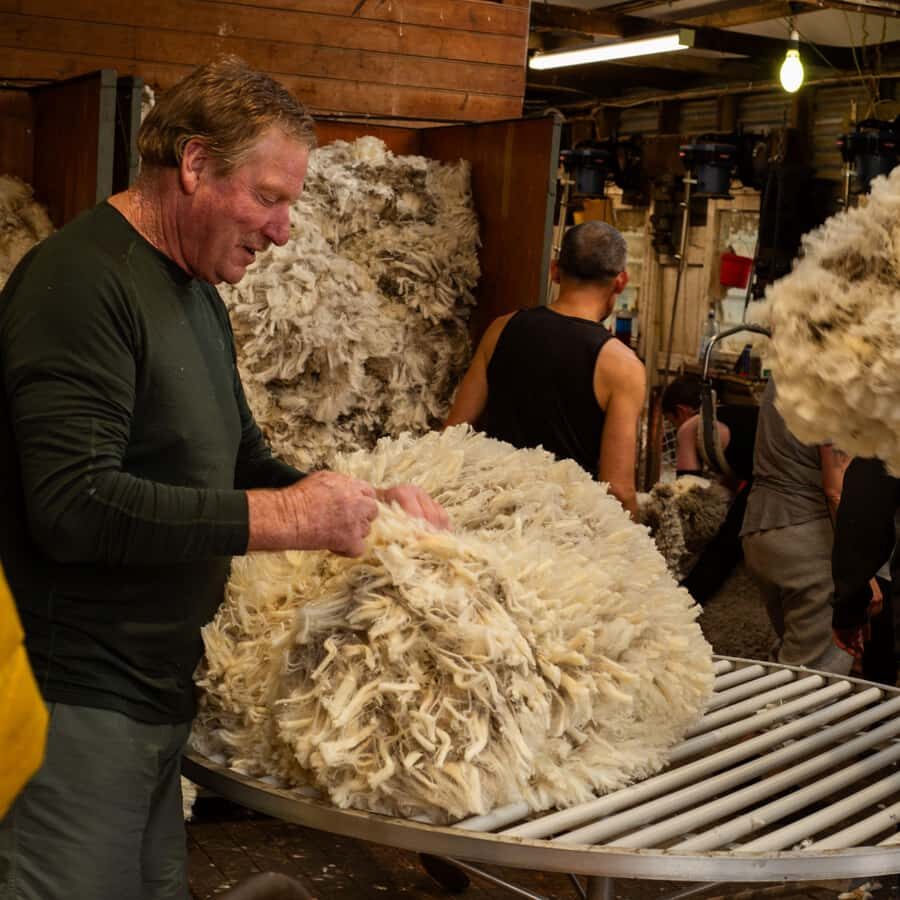 Tekapo: Merino Sheep Shearing and Sheepdog Demonstration - An In-Depth Look at the Sheep Shearing and Sheepdog Tour