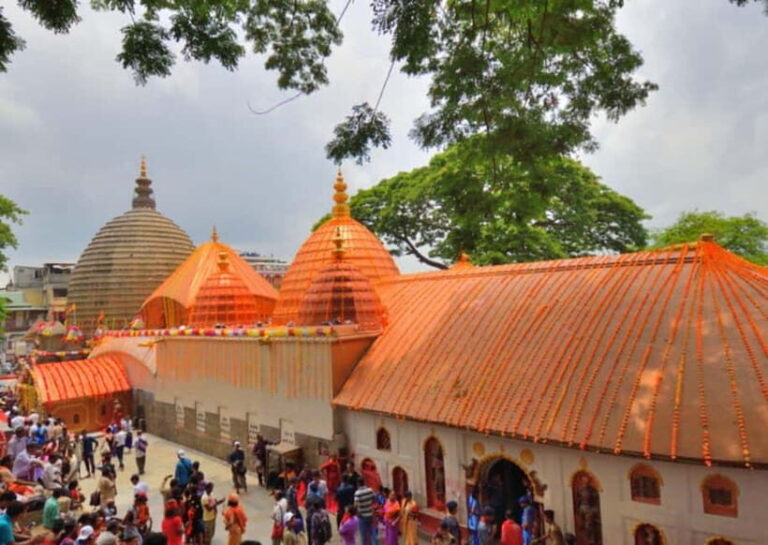 Temples Trails of Guwahati: Guided Walking Tour by Foot - The Value of This Tour