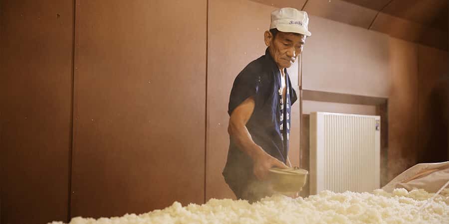 Tendo City: Dewazakura Sake Brewery Tour and Tasting - The Itinerary – What You Can Expect