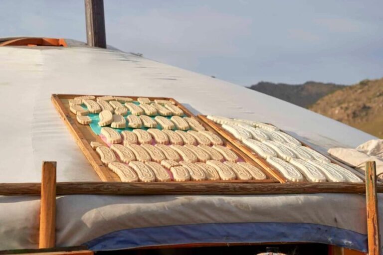 Terelj ,Khar khorum ,Horse ride , Camel ride , Monastery - What’s Included and What’s Not