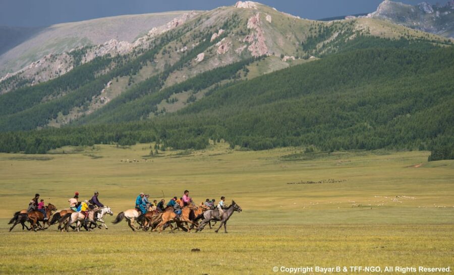 Terelj National Park: Tour with horse riding and hiking - Practical Aspects of the Tour