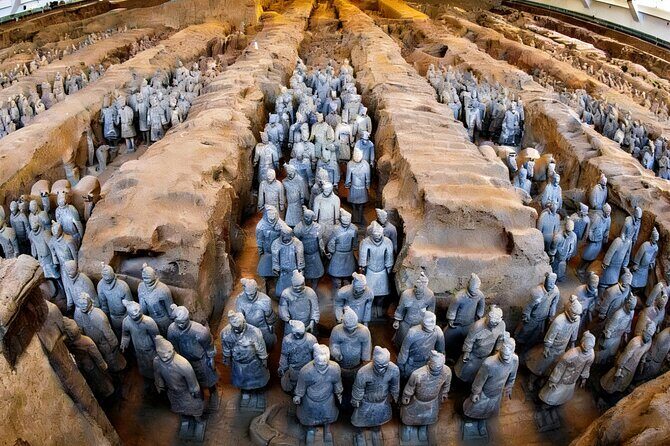 Terracotta Army Ticket Optional English Guide Flexible Entry time - Who is This Tour Best Suited For?