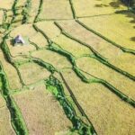 Tetebatu Day Tour: Waterfalls, Rice Fields & Local Life - The Itinerary in Detail