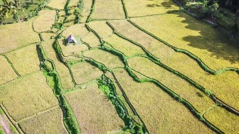 Tetebatu Day Tour: Waterfalls, Rice Fields & Local Life - The Itinerary in Detail