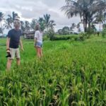 Tetebatu Panorama Walk: Rice Fields, Waterfall & Monkeys - Who Will Love This Tour?