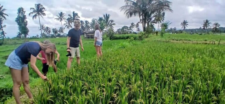 Tetebatu Panorama Walk: Rice Fields, Waterfall & Monkeys - Who Will Love This Tour?