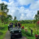 Tetebatu: Rice Fields, Villages, and Waterfalls Tour - Breaking Down the Itinerary