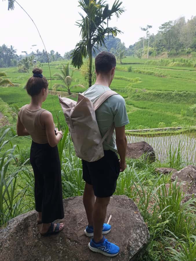 Tetebatu & Ricefield, Waterfall, Monkey forest. - The Itinerary Breakdown
