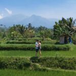 Tetebatu : Walk on Rice Terrace, Waterfall and Black Mongky - The Experience from the Traveler’s Perspective