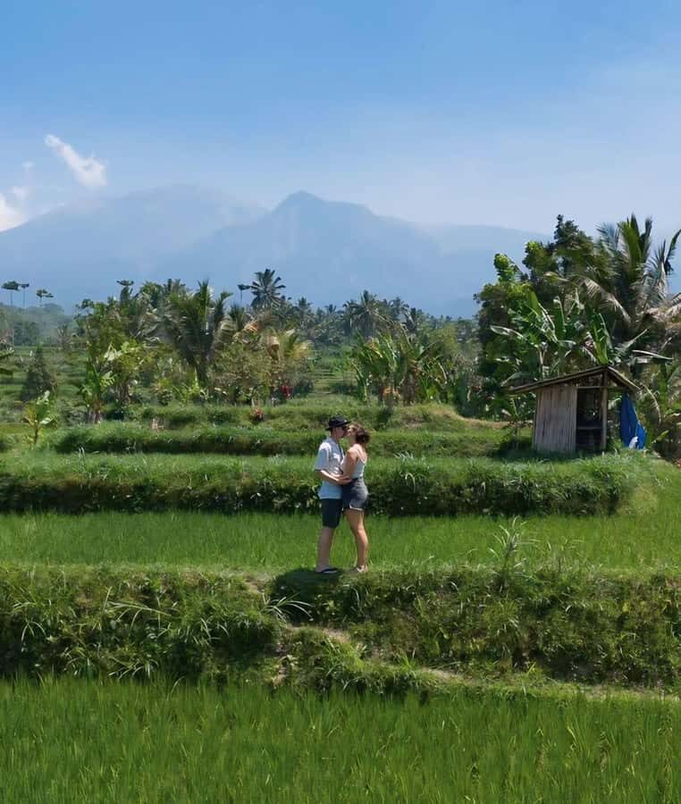 Tetebatu : Walk on Rice Terrace, Waterfall and Black Mongky - The Experience from the Traveler’s Perspective