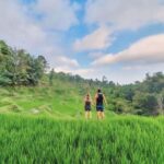 Tetebatu : Waterfall, Rice Fields & Monkey Forest Full day - Final Thoughts: Who Will Love This Tour?