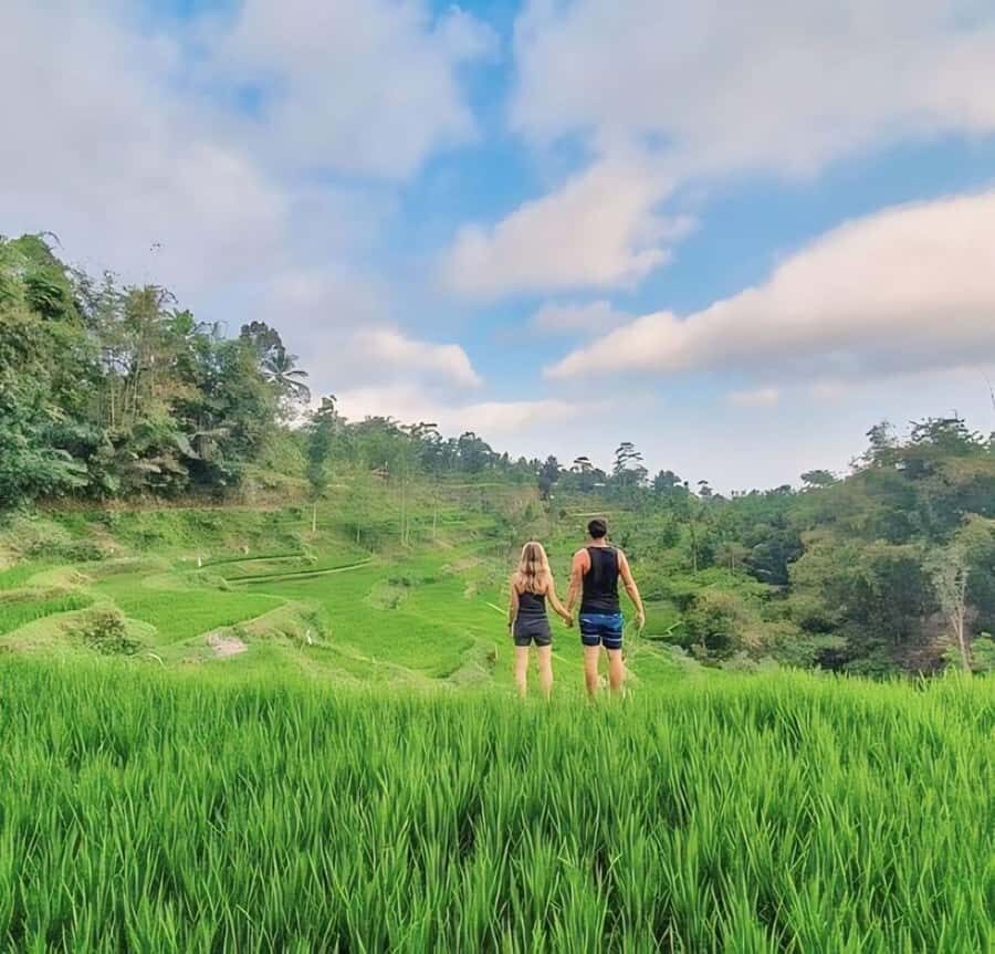 Tetebatu : Waterfall, Rice Fields & Monkey Forest Full day - Final Thoughts: Who Will Love This Tour?