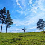 Thangappuwa Falls: Explore One of Knuckles 7 Cascades - Why This Tour Offers Great Value