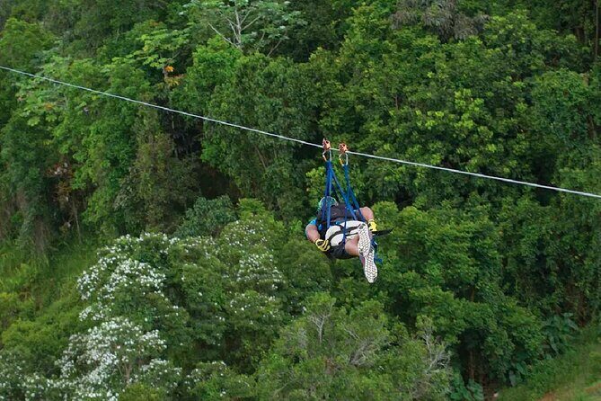 The Beast Zipline at Toroverde Adventure Park in Puerto Rico - The Guides and Safety