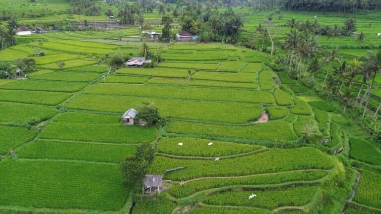 The Best Northern Bali: Waterfalls & Sacred Temple Adventure - Value & Practical Considerations