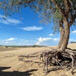 The best of Central Mongolia Guided 3 day Adventure - Authentic Experiences That Make a Difference