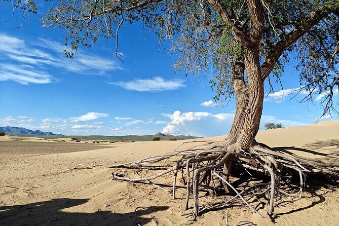 The best of Central Mongolia Guided 3 day Adventure - Practical Details and What to Expect