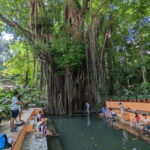 The Best of Siquijor Island Tour - Practical Details and What to Expect