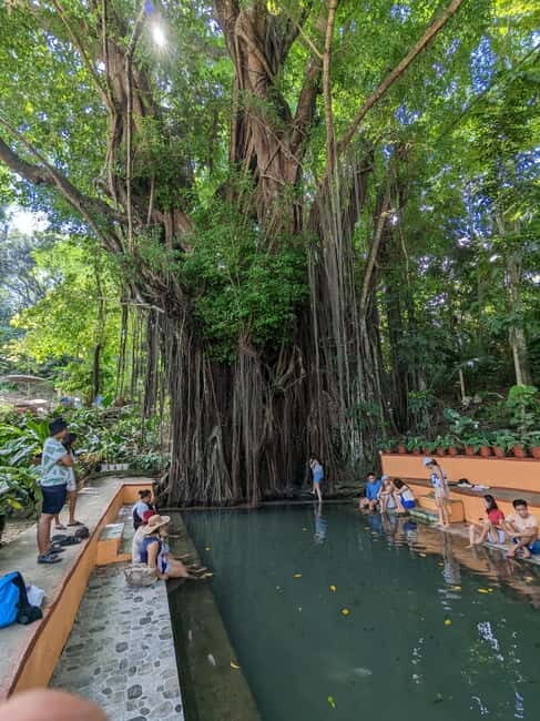 The Best of Siquijor Island Tour - Practical Details and What to Expect