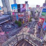 The best of Tokyo in one day  A cultural and spiritual tour - Transportation and Practical Details