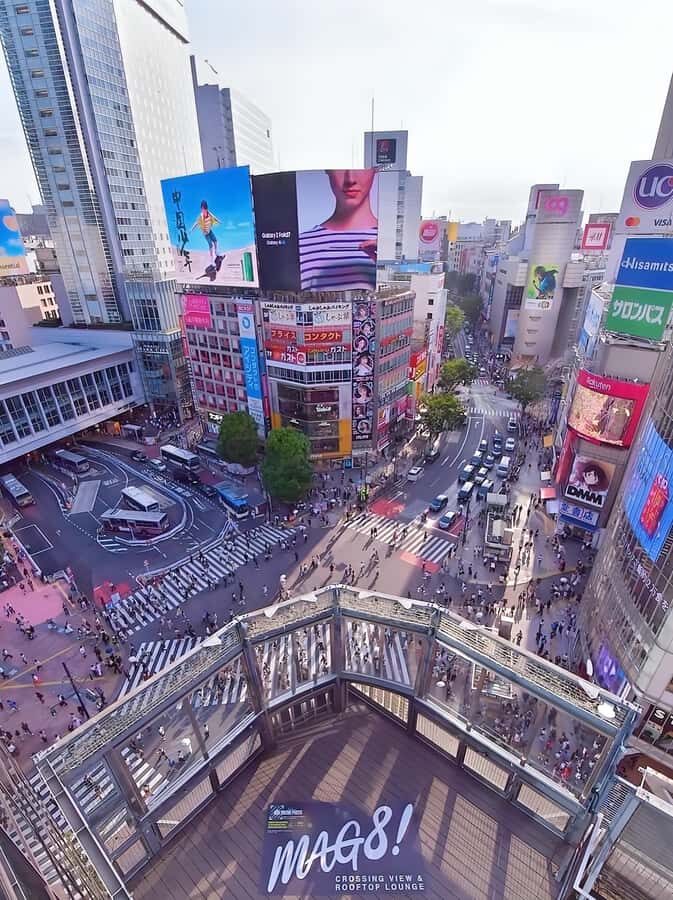 The best of Tokyo in one day  A cultural and spiritual tour - Transportation and Practical Details