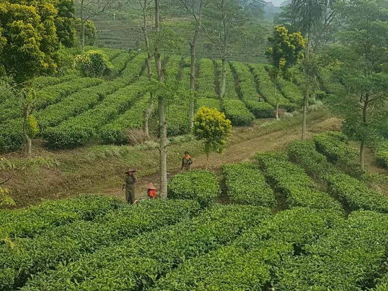 The Breathtaking Views Of The Countryside In Bandung - The Itinerary Breakdown: What Makes Each Stop Special