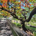 The Brisbane Experience: City Walking Tour - Itinerary Breakdown: Every Stop Counts