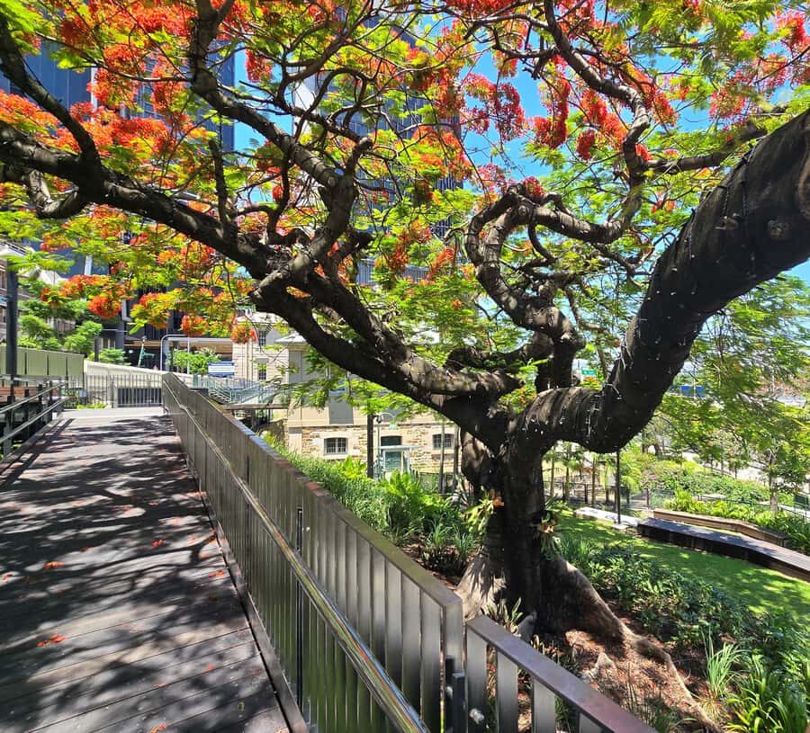 The Brisbane Experience: City Walking Tour - Itinerary Breakdown: Every Stop Counts