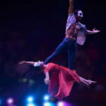 The Cambodian Circus Show and Pub Street Night Market - The Circus Show: A Deep Dive into Cambodian Culture