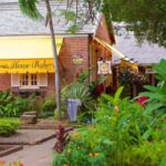 The Devon House Guided City Tour - Who is This Tour Best For?