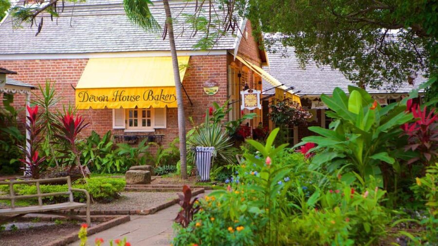 The Devon House Guided City Tour - Who is This Tour Best For?