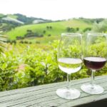 The Epic Waiheke Sundowner, Food And Wine Trip - Who Will Love This Tour?