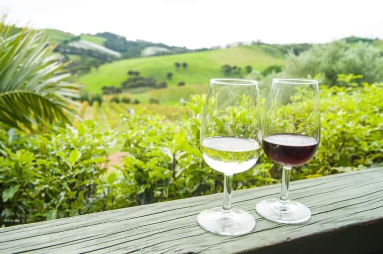 The Epic Waiheke Sundowner, Food And Wine Trip - Who Will Love This Tour?
