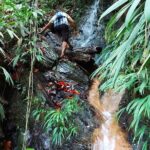 The Grand Circle 24-Hour All-Inclusive Island Experience - What Makes This Tour Valuable?