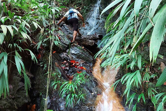 The Grand Circle 24-Hour All-Inclusive Island Experience - What Makes This Tour Valuable?