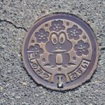 The Melancholy of Haruhi Suzumiya Anime Locations Guided Tour - What’s Included and Whats Not