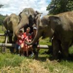 The Must-Do: Authentic Elephant & Village Life in Chiang Mai - Why This Tour Delivers Value