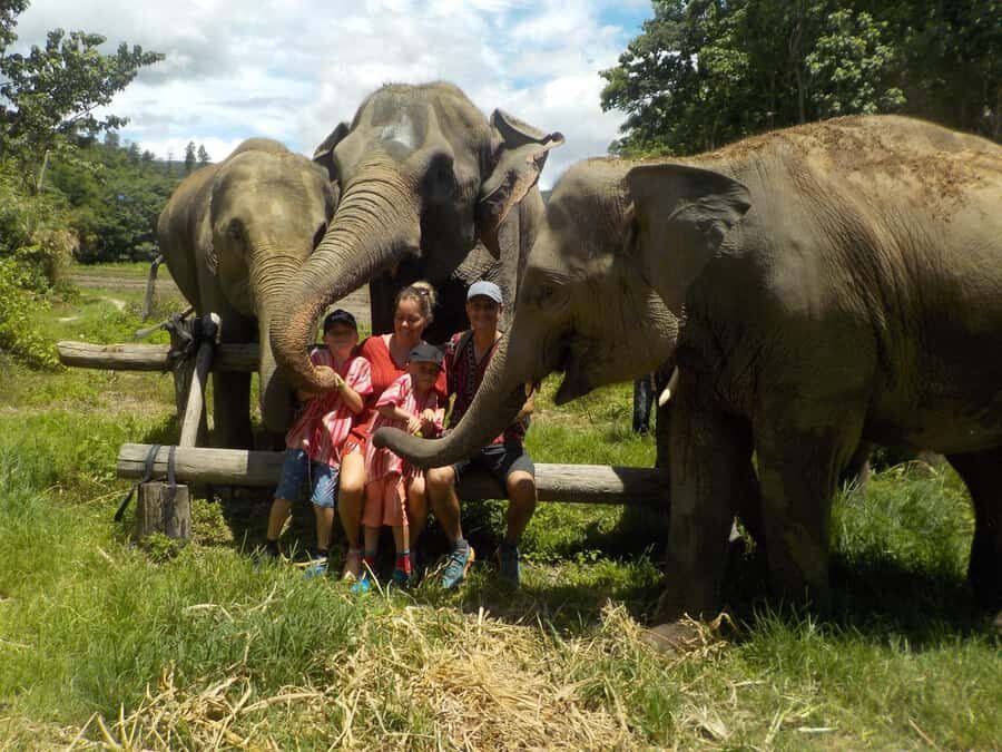 The Must-Do: Authentic Elephant & Village Life in Chiang Mai - Why This Tour Delivers Value