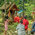 The Original Sticky Waterfalls All Inclusive (Join Tour) - Comfort and Convenience