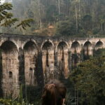 The Pekoe Trail Stage 16- Ella to Demodara - What Makes This Tour Stand Out?