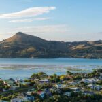 The Seasider - See Otagos Coastline From a New Perspective - Who Should Consider This Tour?