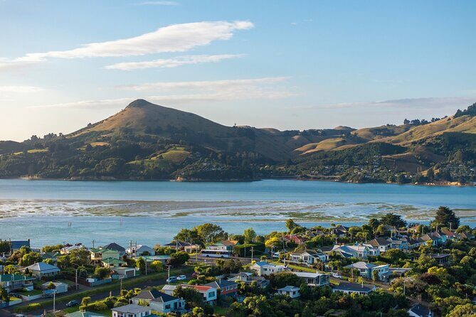 The Seasider - See Otagos Coastline From a New Perspective - Who Should Consider This Tour?