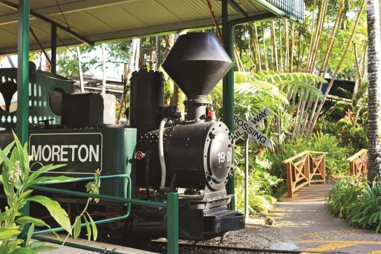 The Sunshine Coast: The Ginger Factory Play All Day - Exploring the Gardens and Interactive Trails