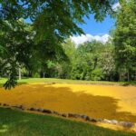 The Taino Route - A Deep Dive into the Taino Route Experience